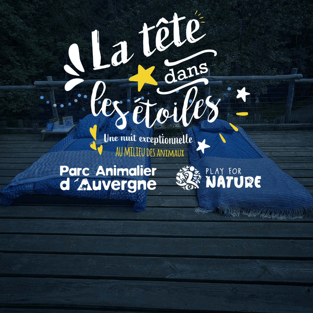 L’affiche de La Tête dans les Étoiles