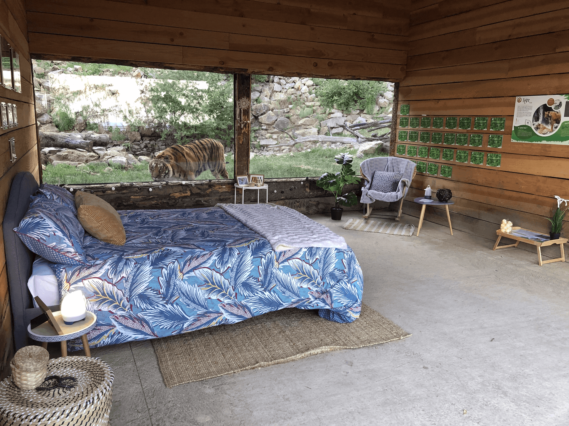 La chambre des tigres