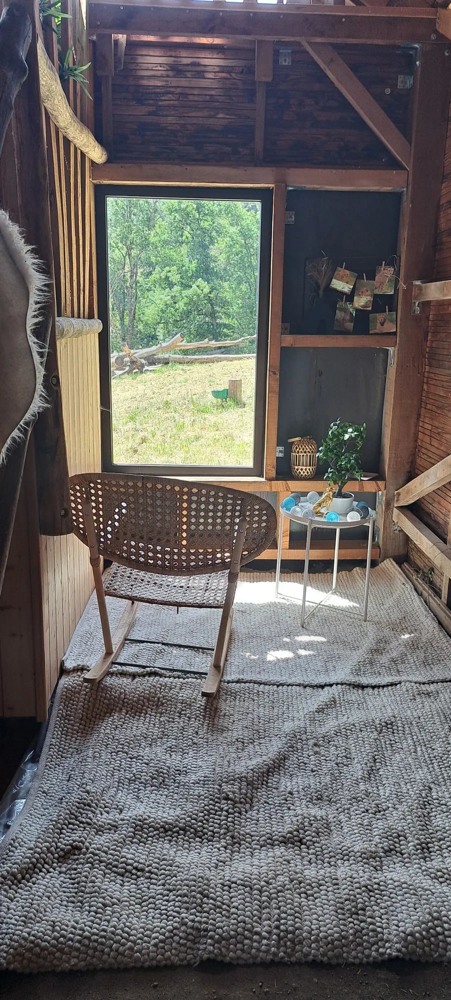 Cabane des guépards